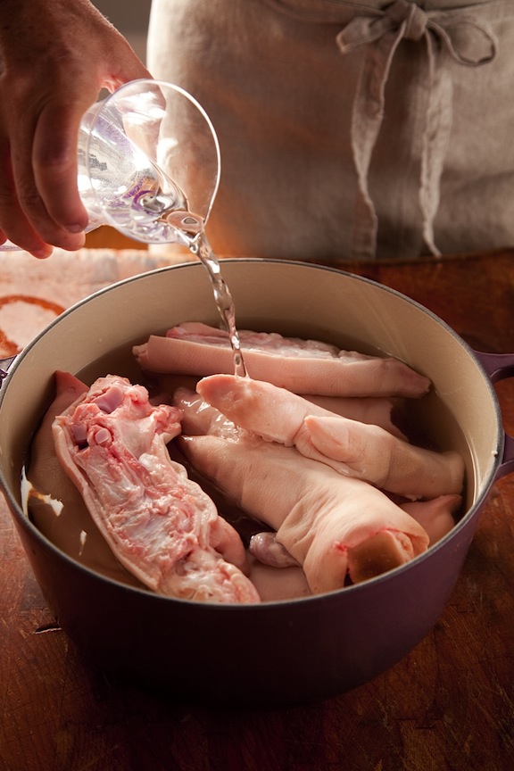 2010_wholehog_0002