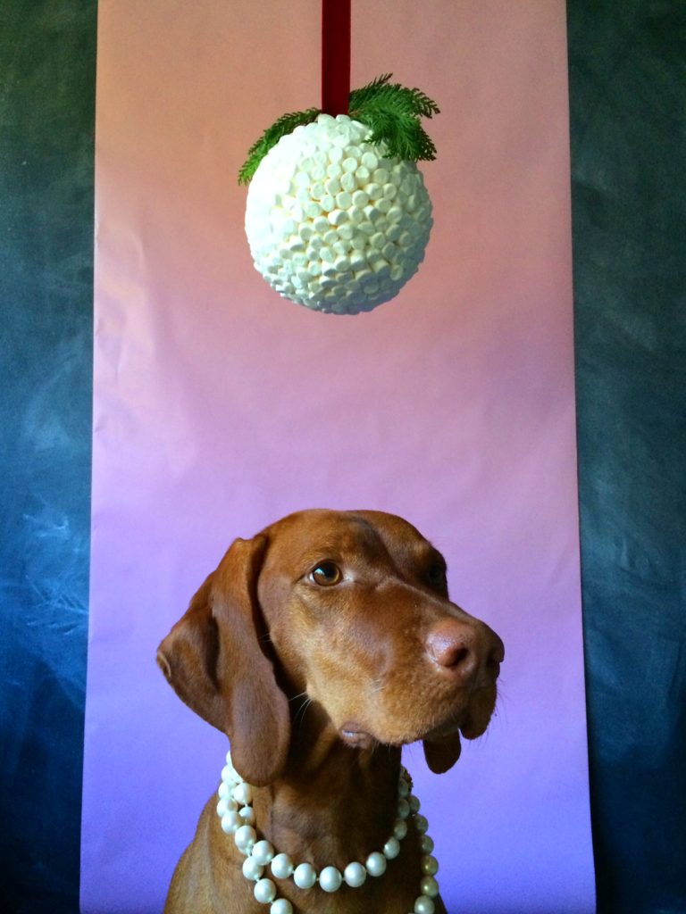 Marshmallow Kissing Ball