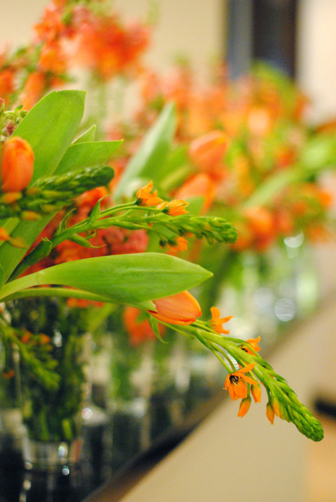 Line up of orange flowers from Libbie Summers