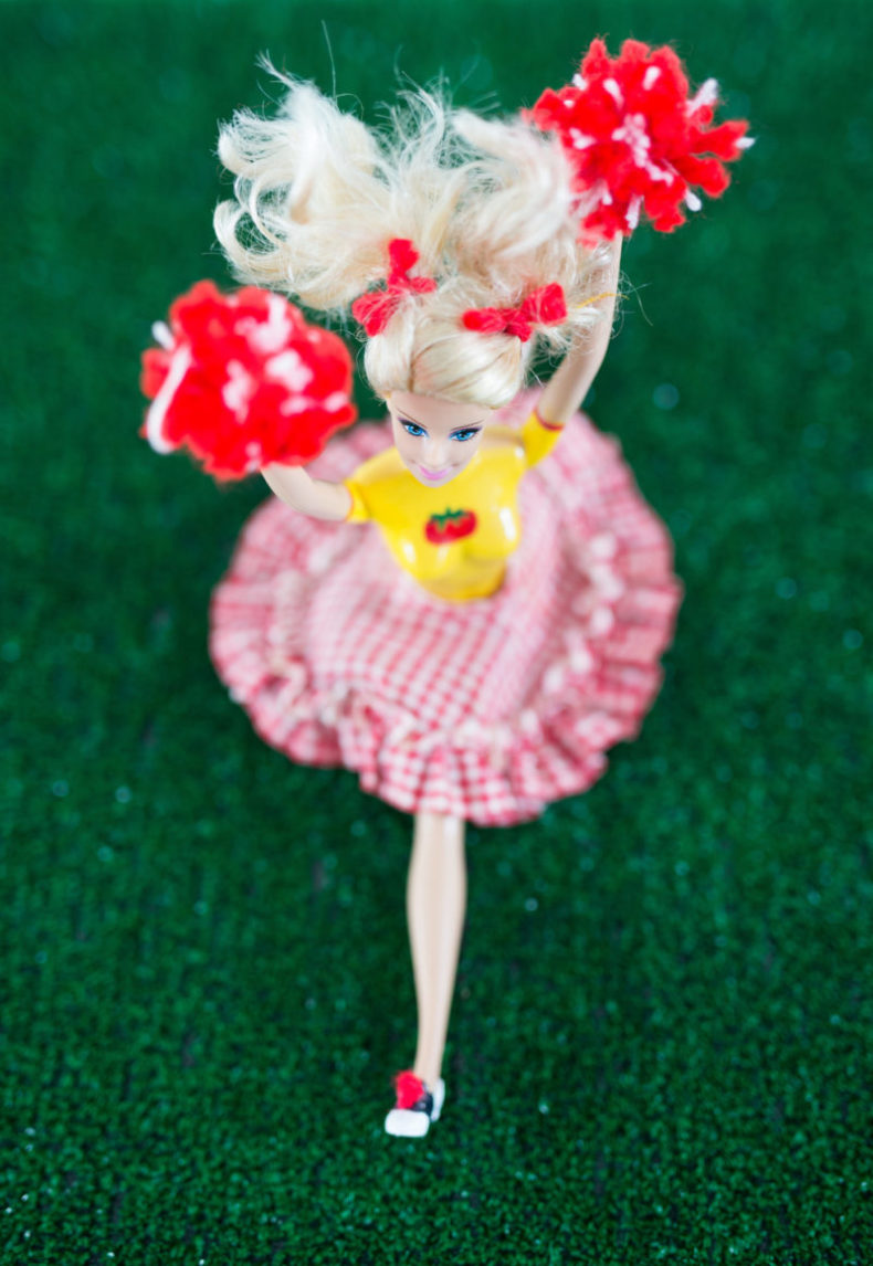Barbie Clothing, Wholesome Barbie,Barbie Stories, Libbie Summers, Gingham Skirt, teresa earnest